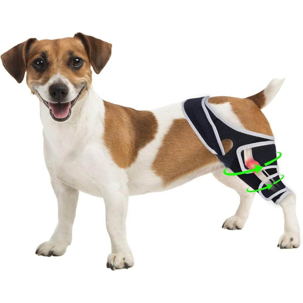 Adjustable Dog Knee‎ Brace for ACL Injury, Rear or Front Leg Support, Size S